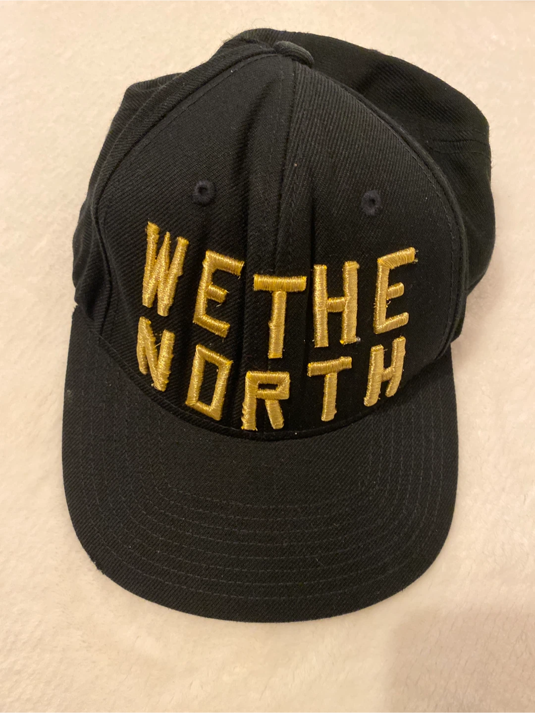 We The North Toronto Raptors Cap