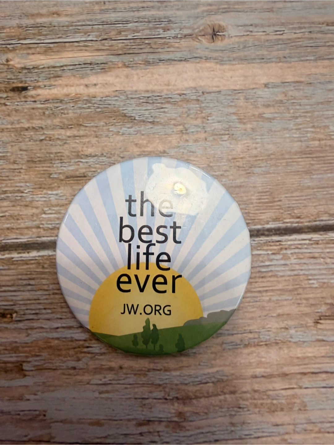 The Best Life Ever Pinback Button