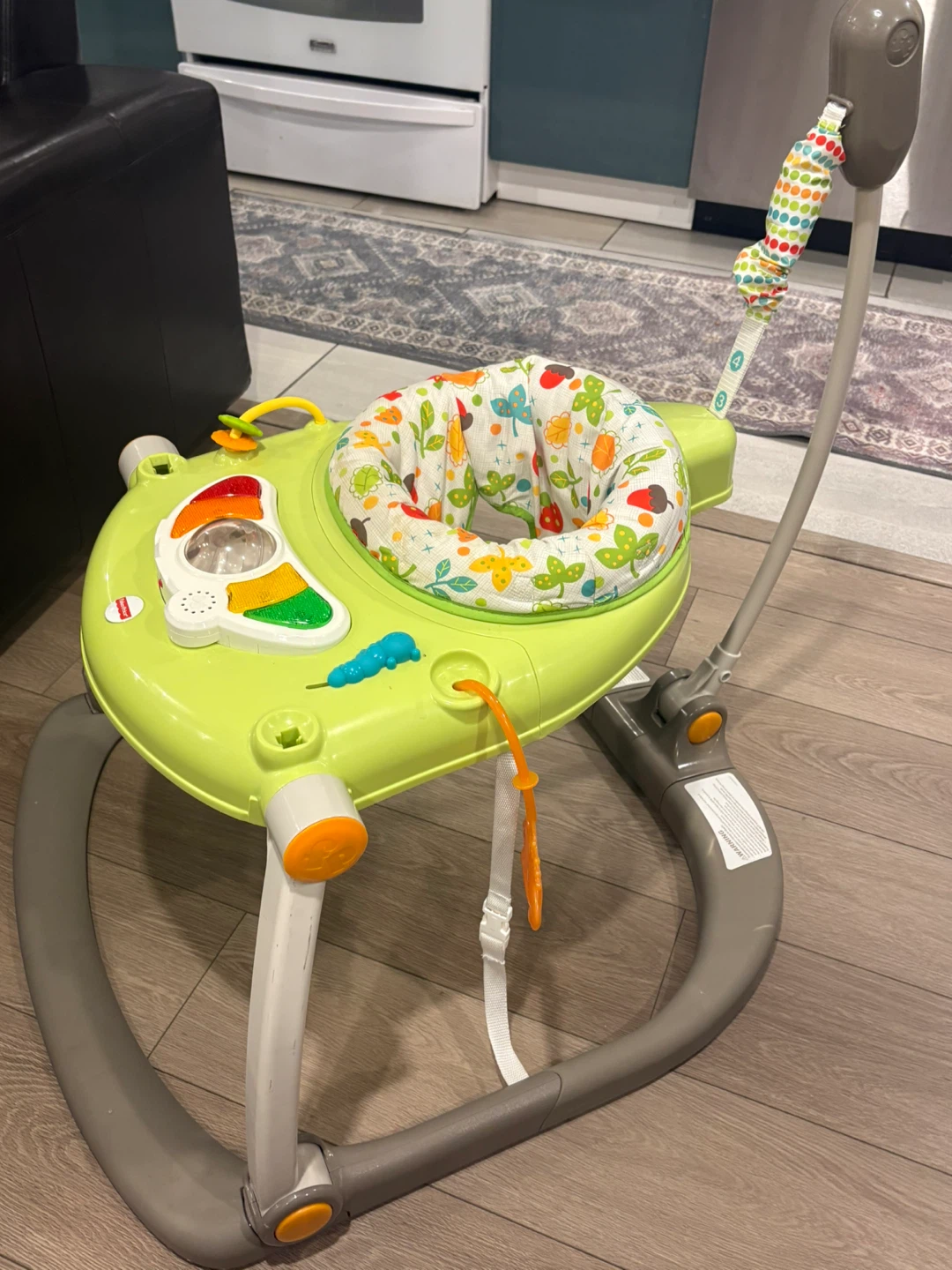 Fisher-Price Baby Jumper - photo 2