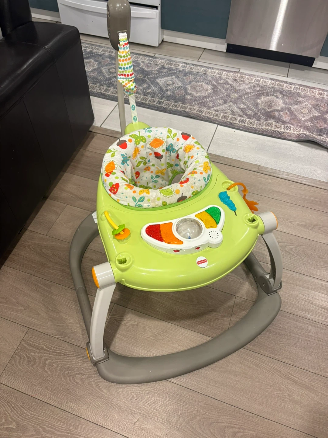 Fisher-Price Baby Jumper - photo 3
