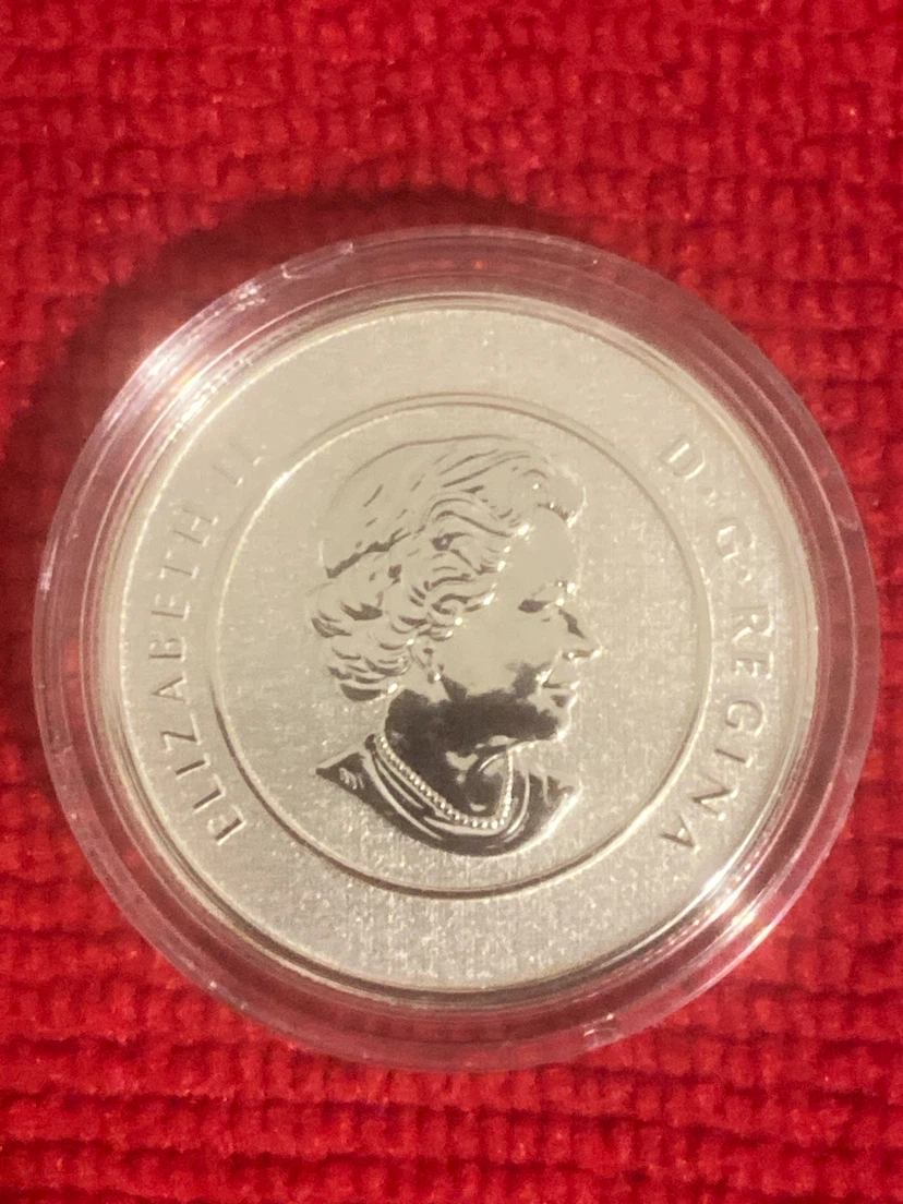 2011 20 Dollars Fine Silver Canoe Coin - photo 2