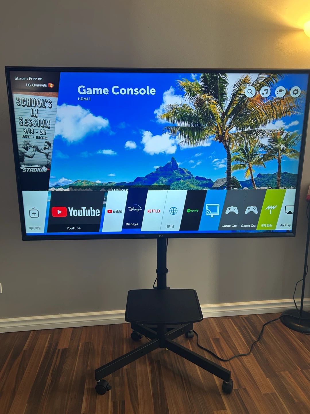 LG 55’ Smart TV