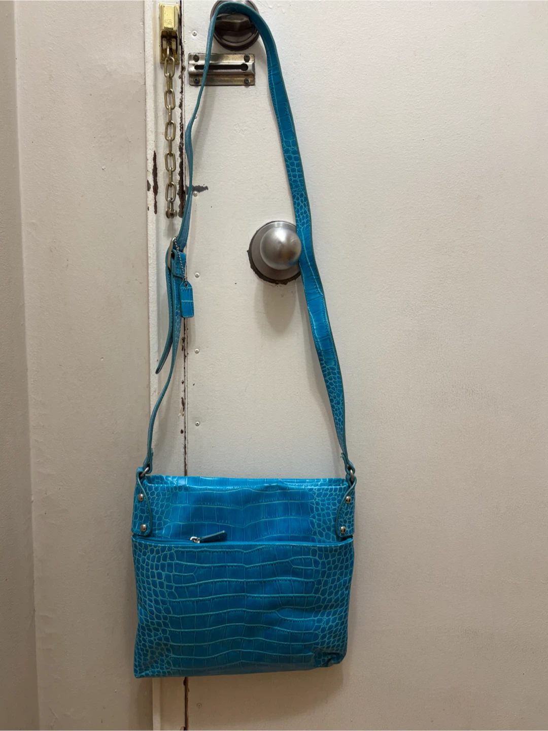 BRAND NEW WITHOUT TAGS Danier Blue Croc-Embossed Crossbody Bag