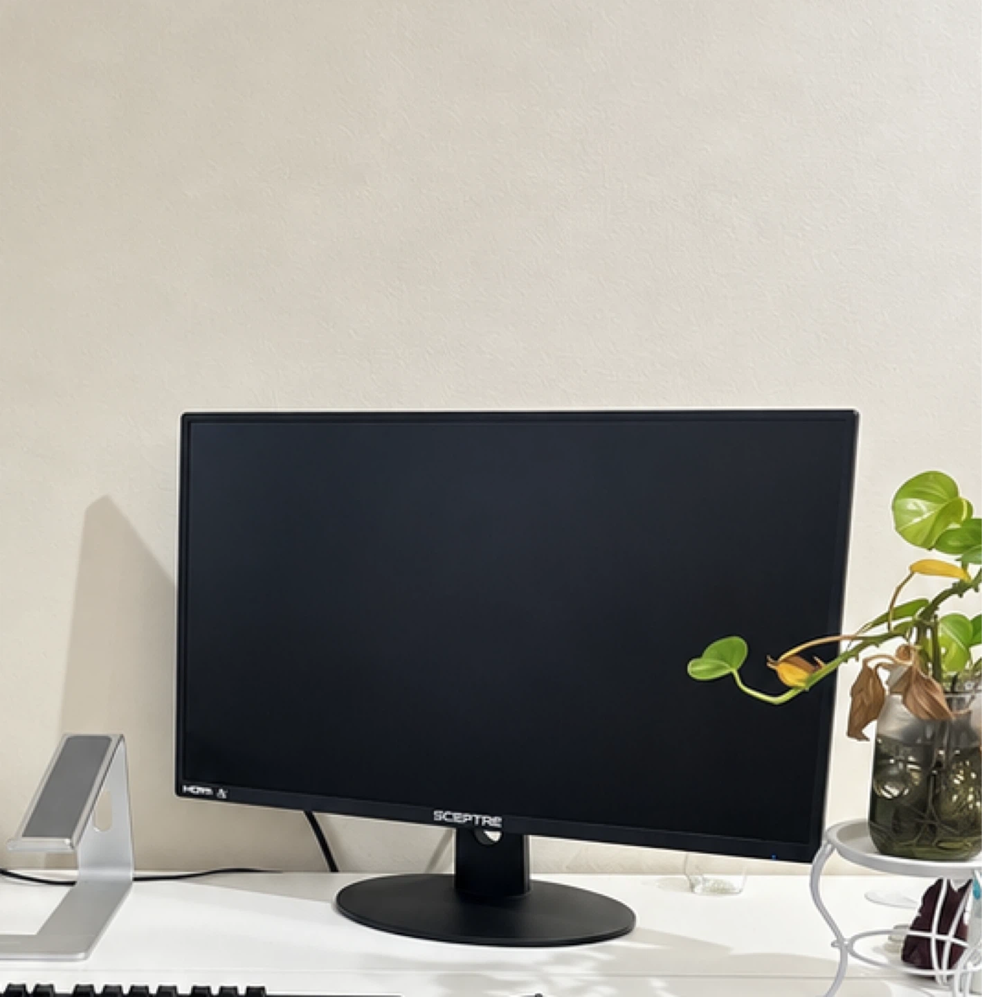 Sceptre Computer Monitor