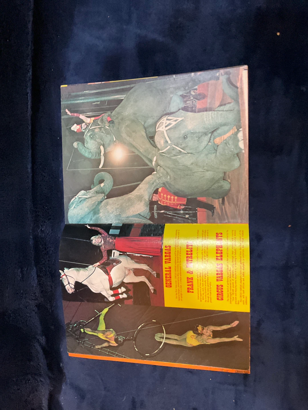 Vintage 1977 Circus Vargas Program and Magazine - photo 4