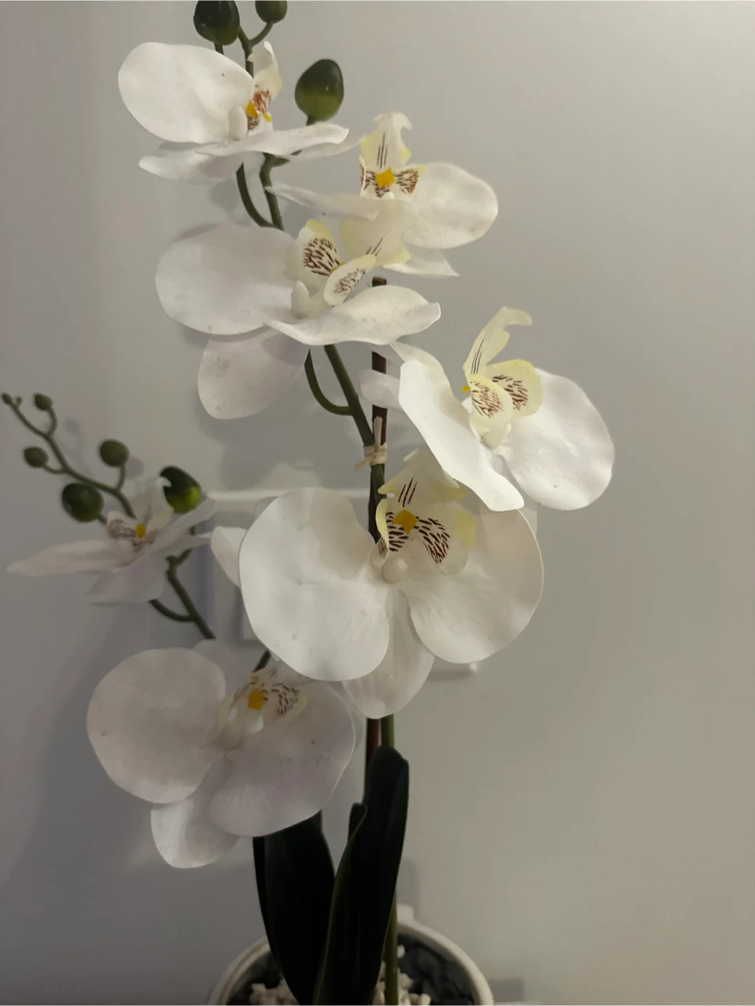 Artificial White Orchid in Ceramic Pot - photo 3