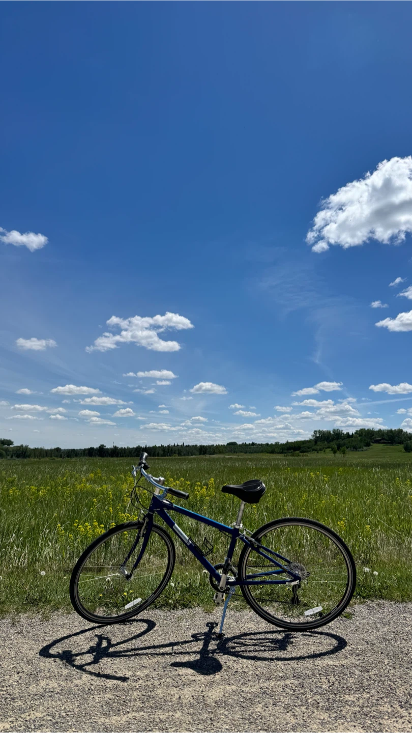 Jamis Commuter 2 Hybrid Bike – 15" Frame – Recently Tuned Up