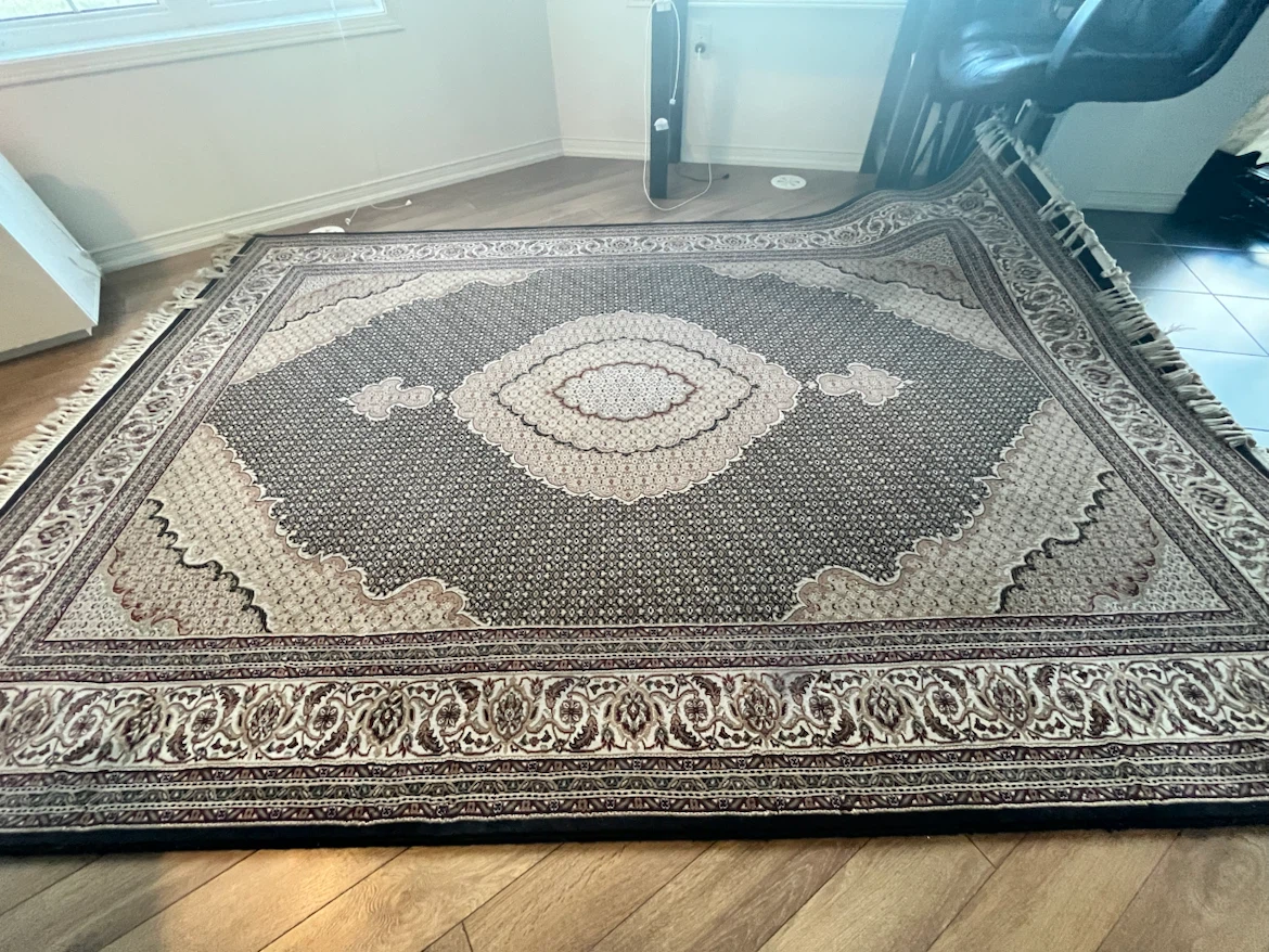 Large Traditional Style Area Rug