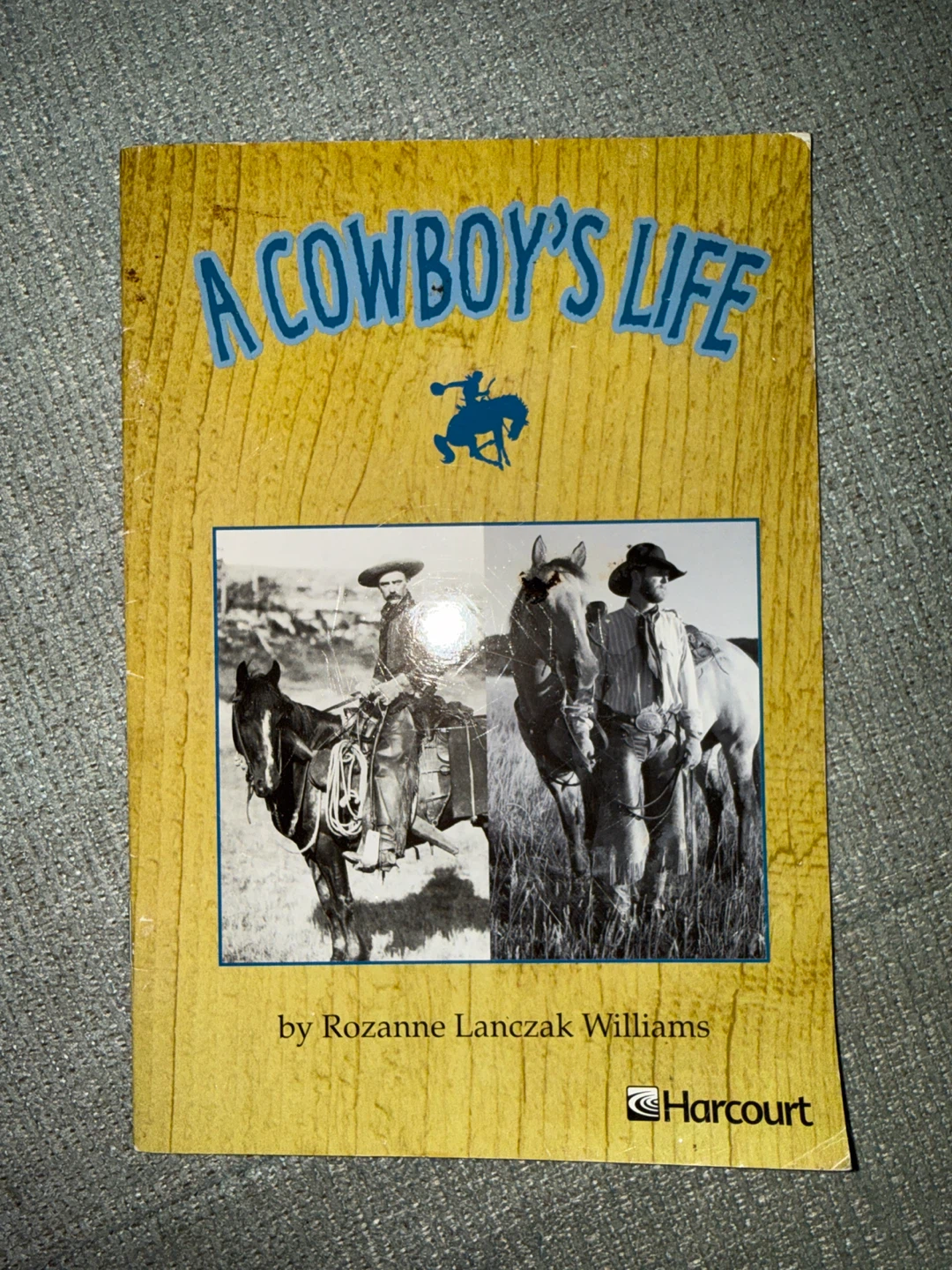 A Cowboy's Life by Rozanne Lanczak Williams