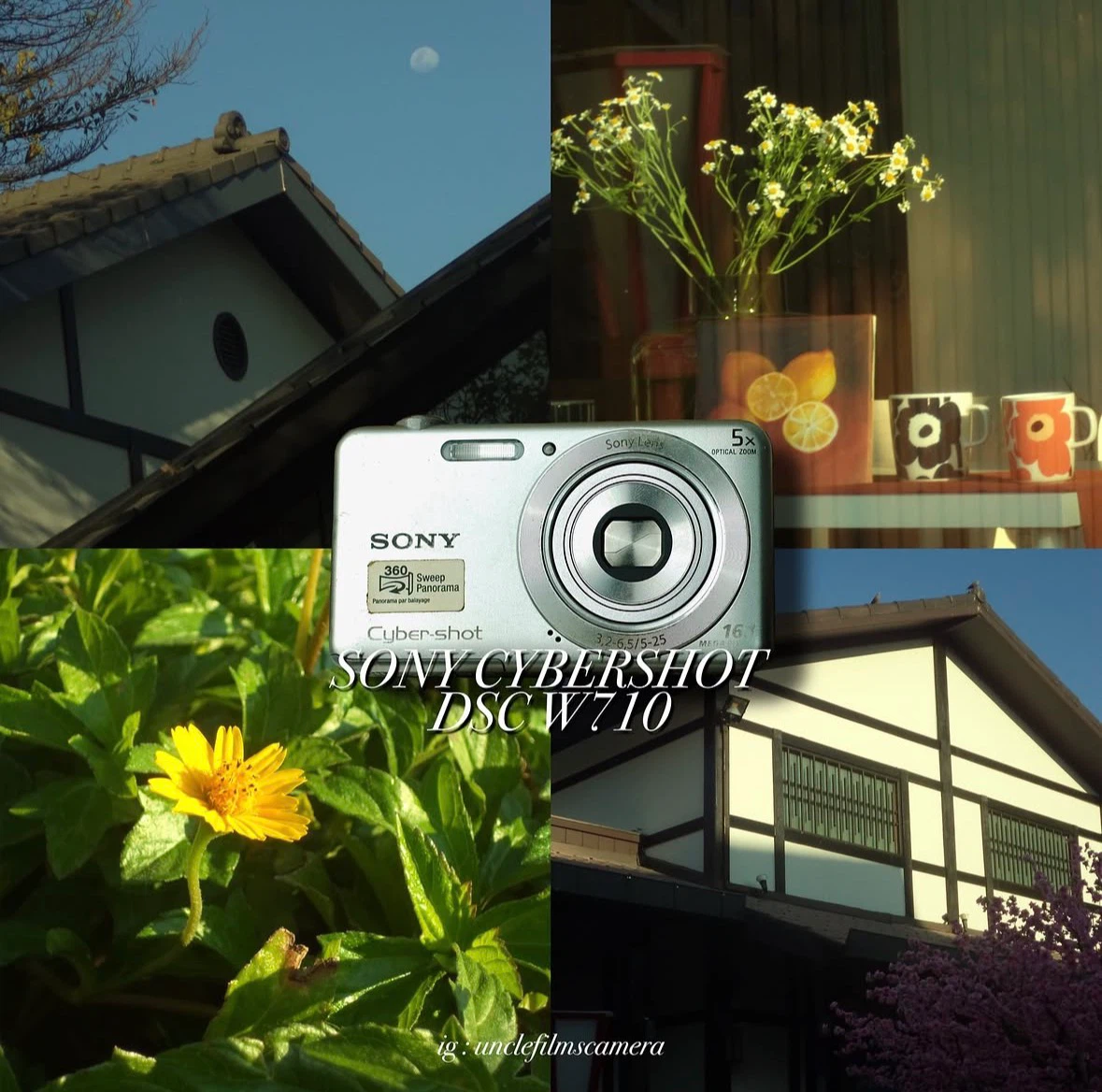 Sony Cyber-shot DSC-W710 Digital Camera