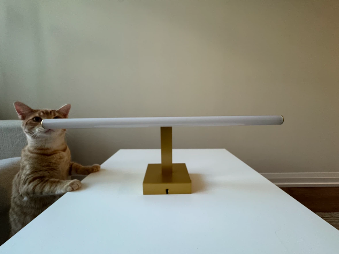 Gold LED Picture/Mirror Light - photo 2