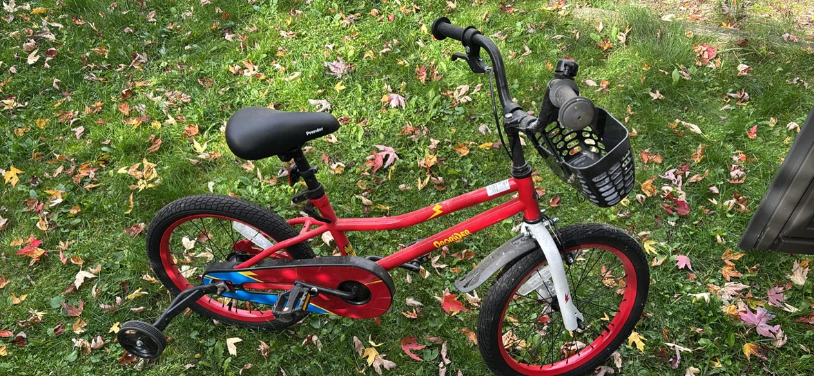 Prorider 16-Inch Kids Bicycle