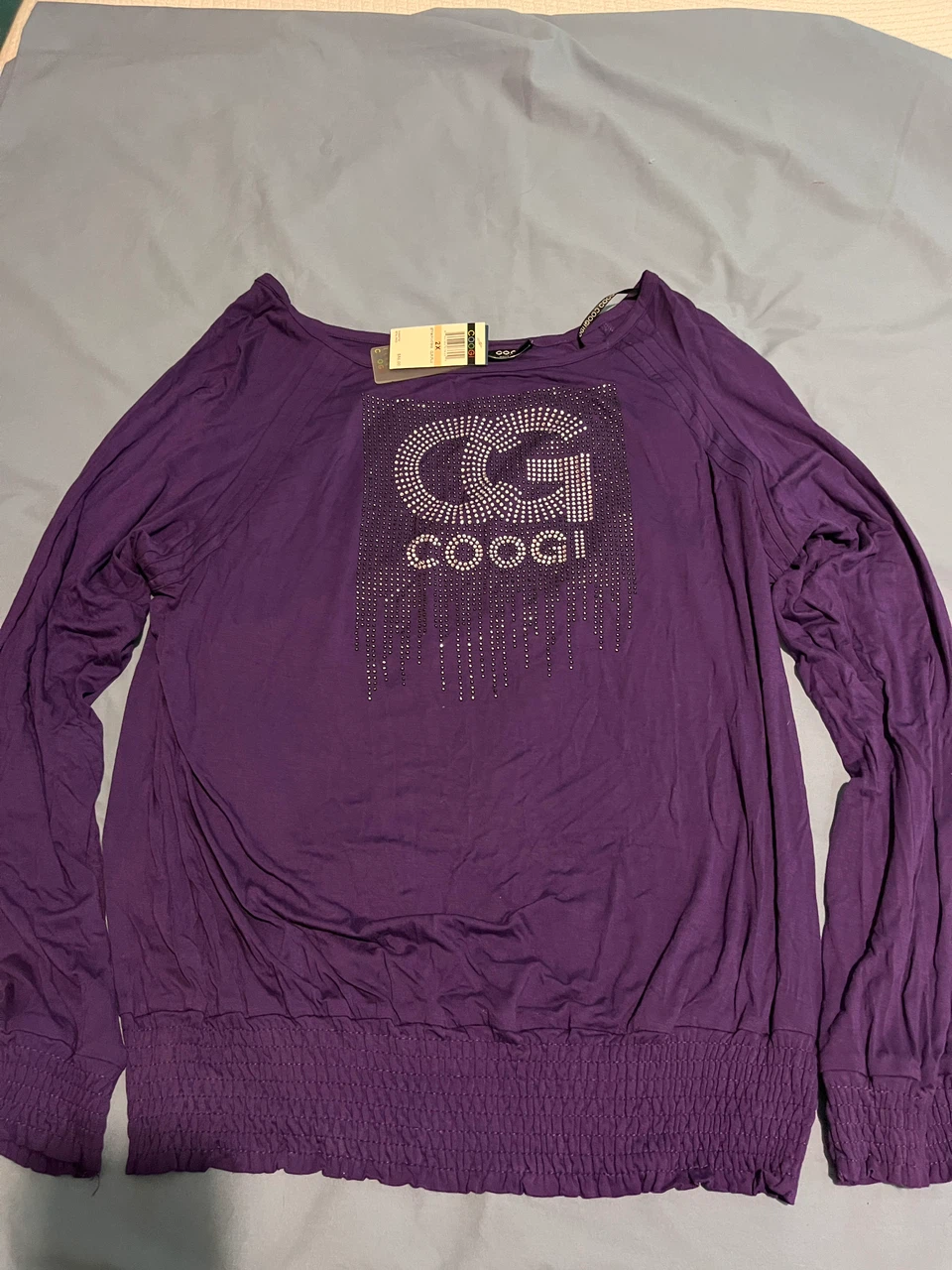 Coogi Purple Long Sleeve Blouse Size 2X