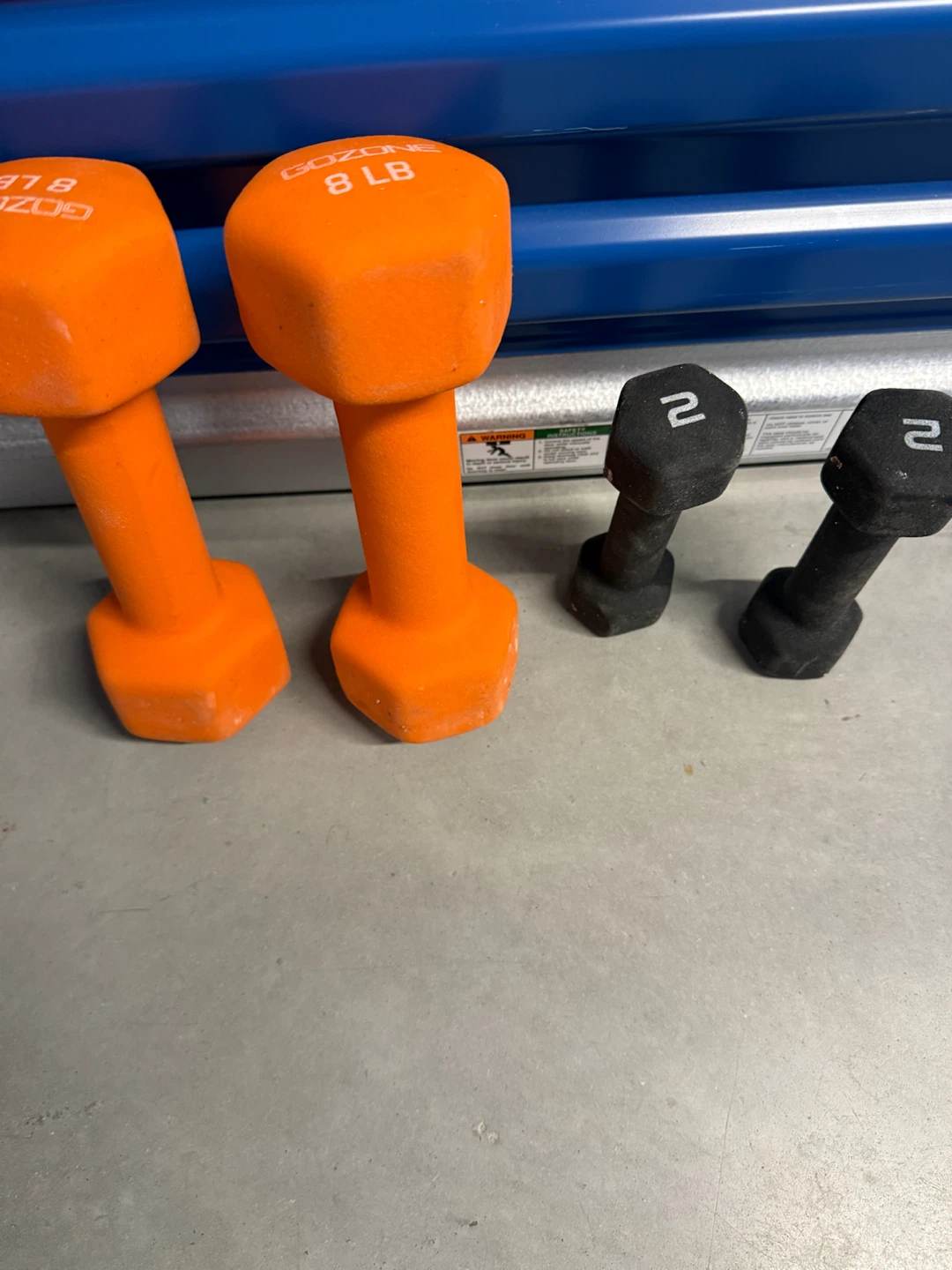 Gozone Dumbbells 8lb and 2lb Set