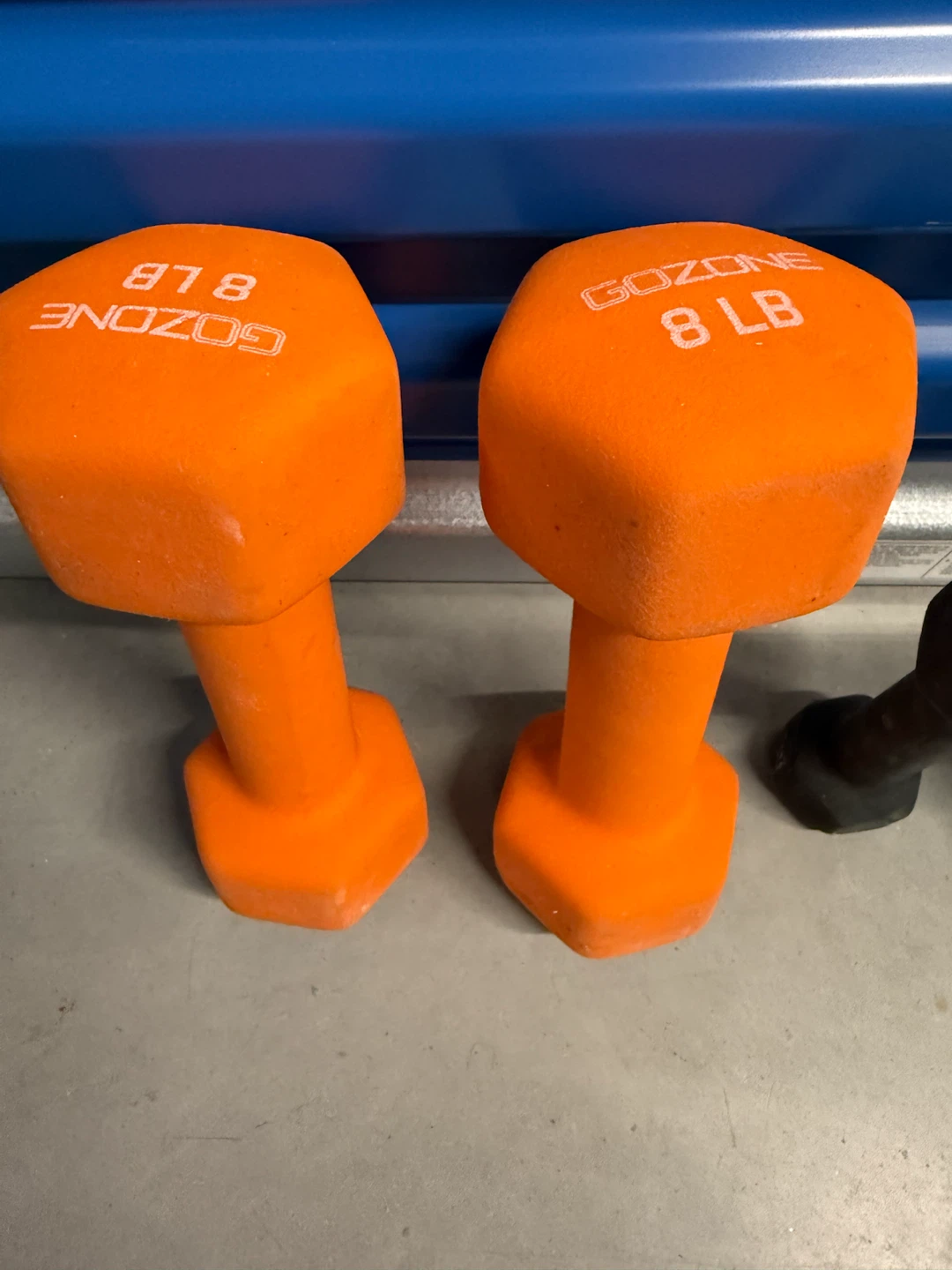 Gozone Dumbbells 8lb and 2lb Set - photo 3