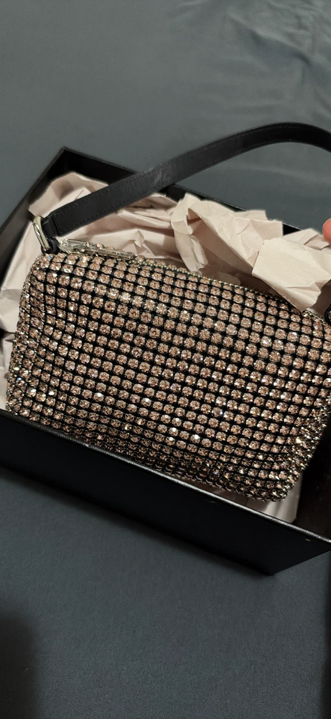 Alexander Wang Pink Medium Heiress Bag - photo 2