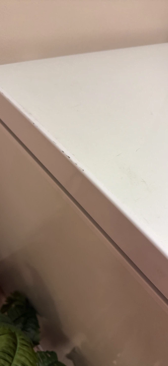 Frigidaire Mini Deep Freezer - photo 4