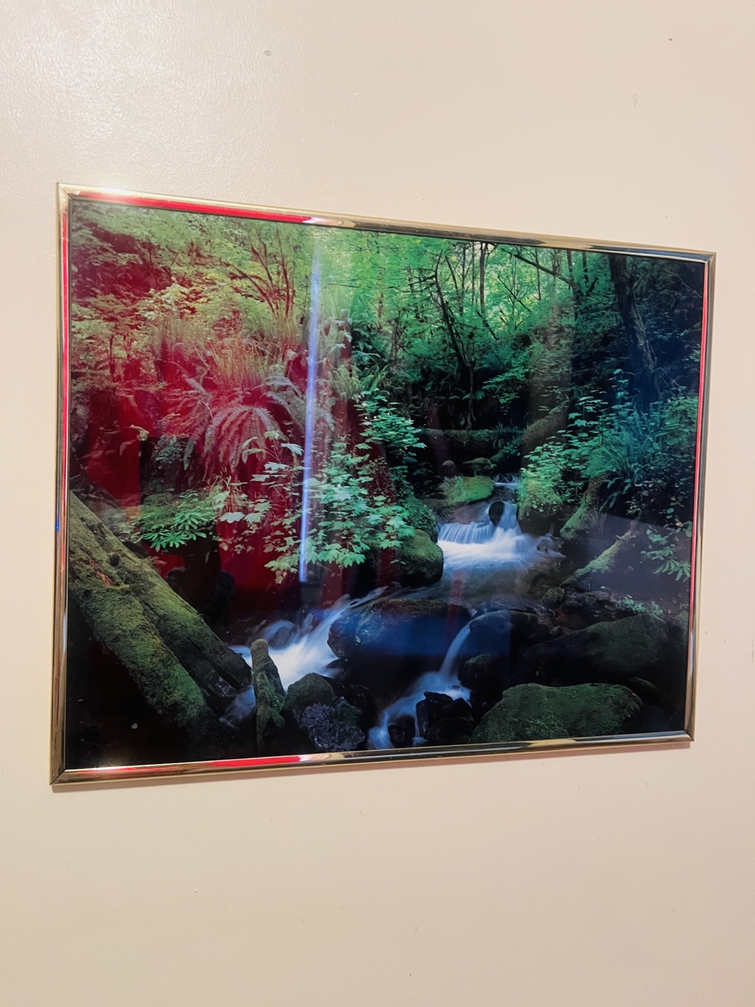 Framed Forest Stream Wall Art