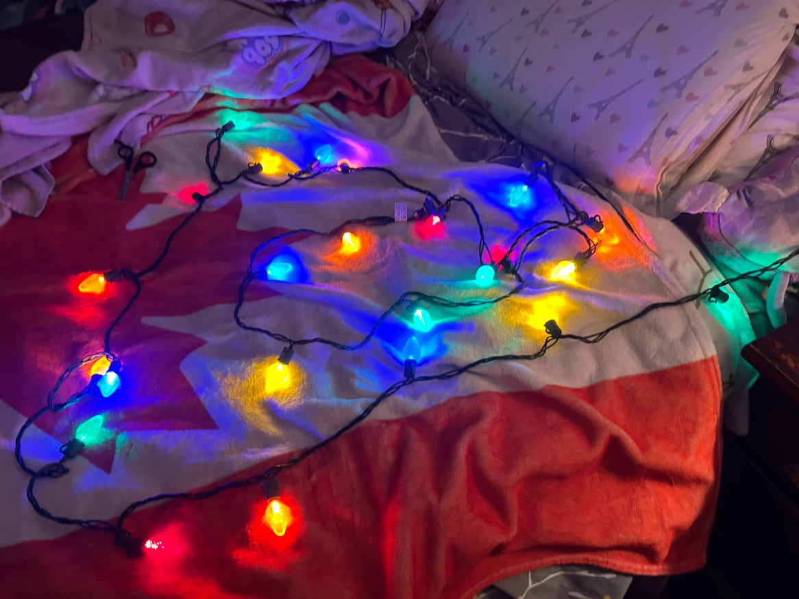 Multicolour Christmas String Lights - photo 5