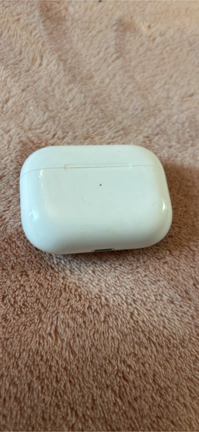 Apple AirPods Pro Charging Case