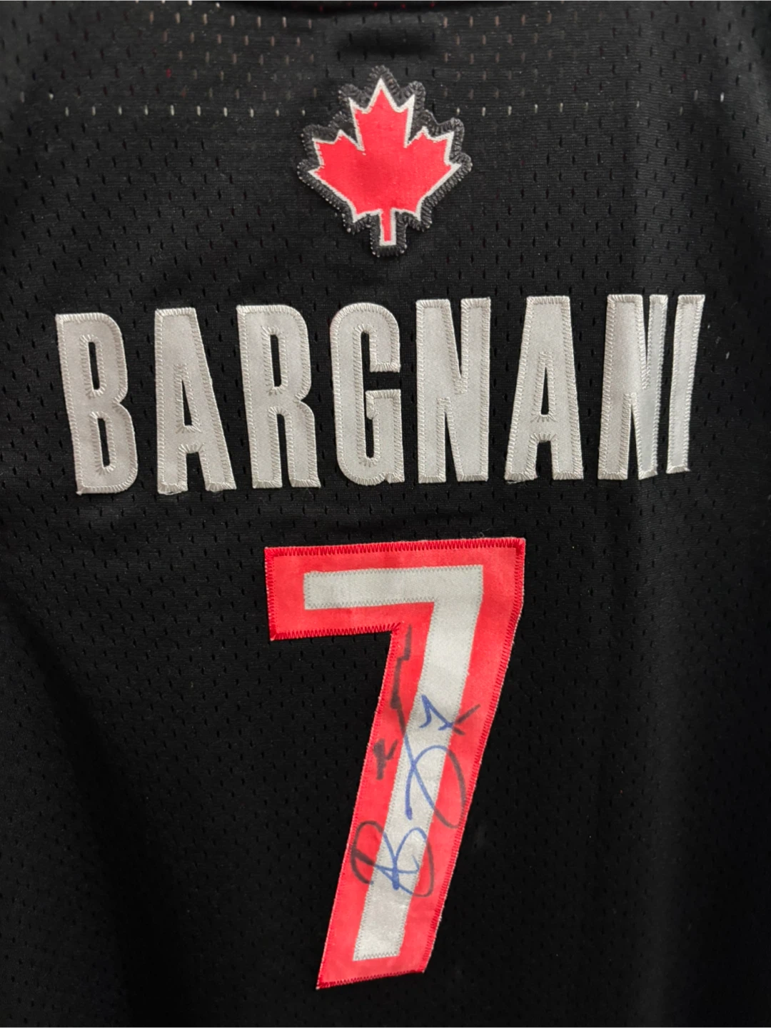 Toronto Raptors Andrea Bargnani Signed Jersey - photo 3