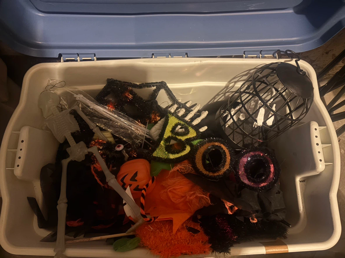 Assorted Halloween Decorations and Props