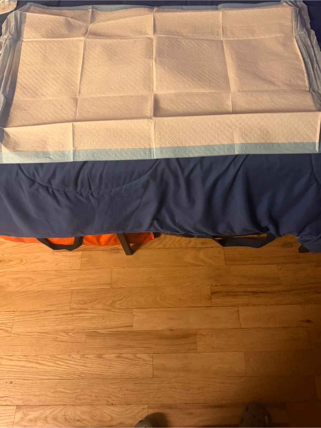 3 boxes Disposable bed or pet pads - photo 2