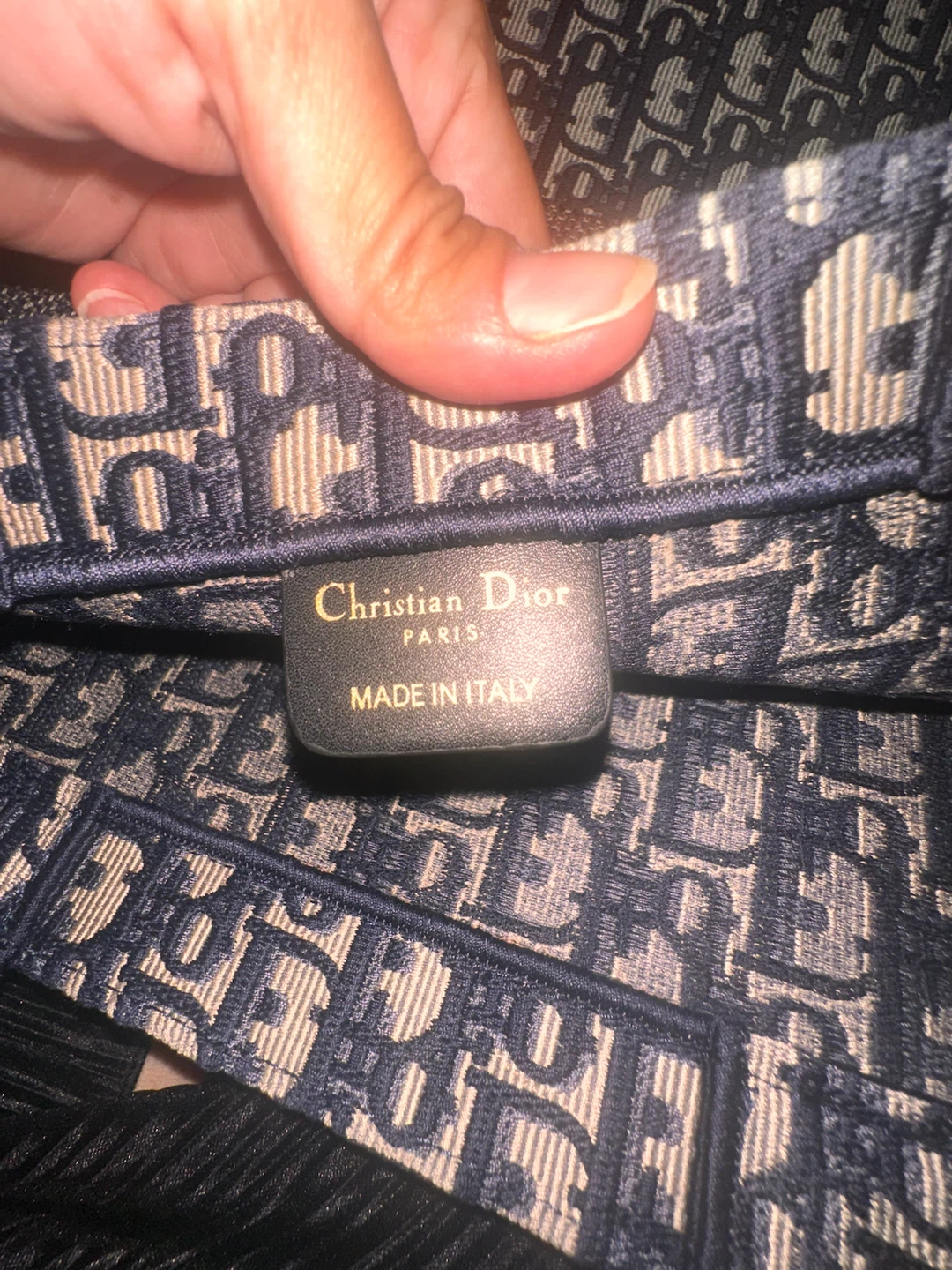 Christian Dior Book Tote Bag - photo 4