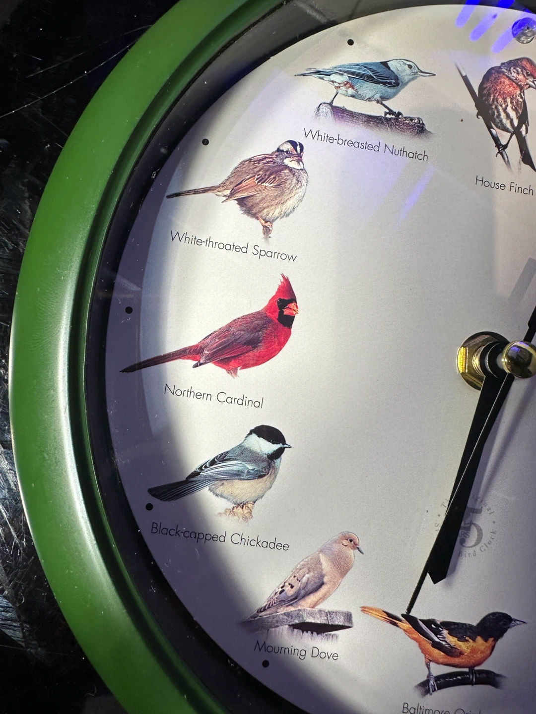Mark Feldstein & Associates Original Singing Bird Clock - photo 2