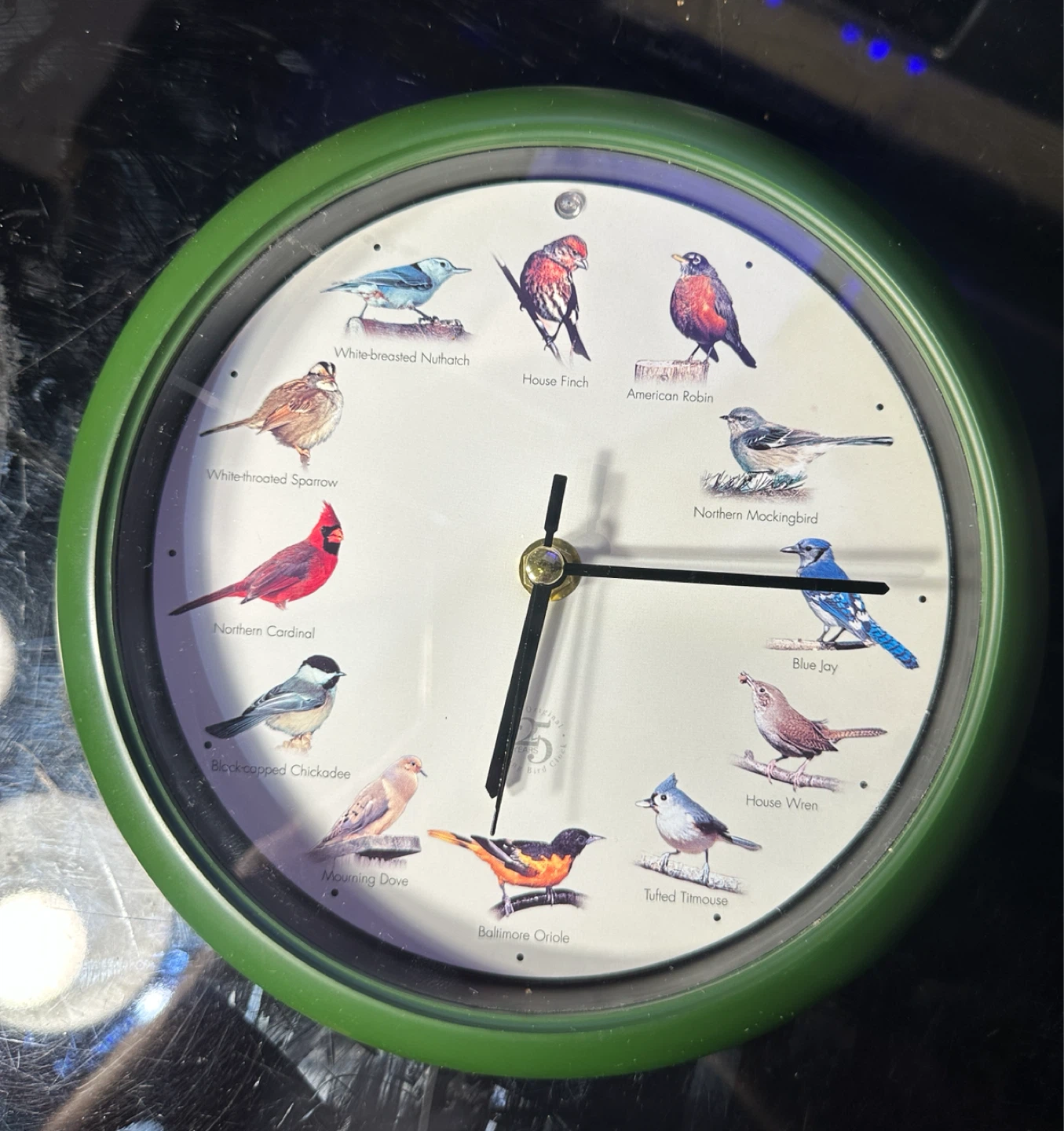 Mark Feldstein & Associates Original Singing Bird Clock