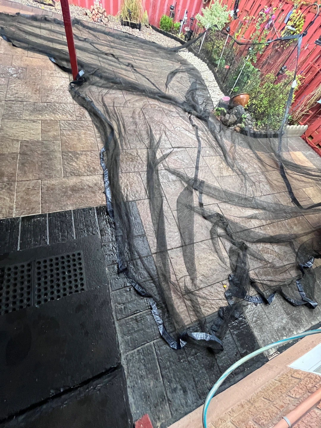 Large Black Garden Protective Netting - photo 2
