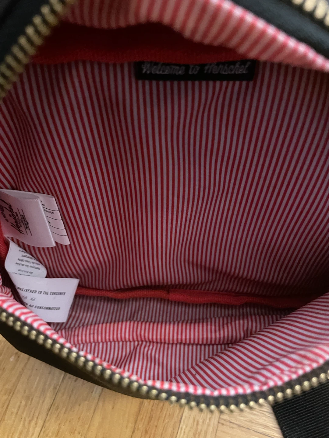 Herschel Classic Hip Pack - photo 3