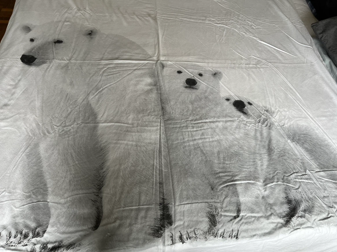DH Polar Bear Print Duvet Cover and Pillowcase Set - photo 2