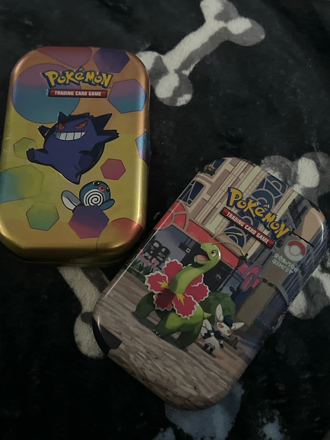 Two Pokémon Trading Card Game Mini Tins