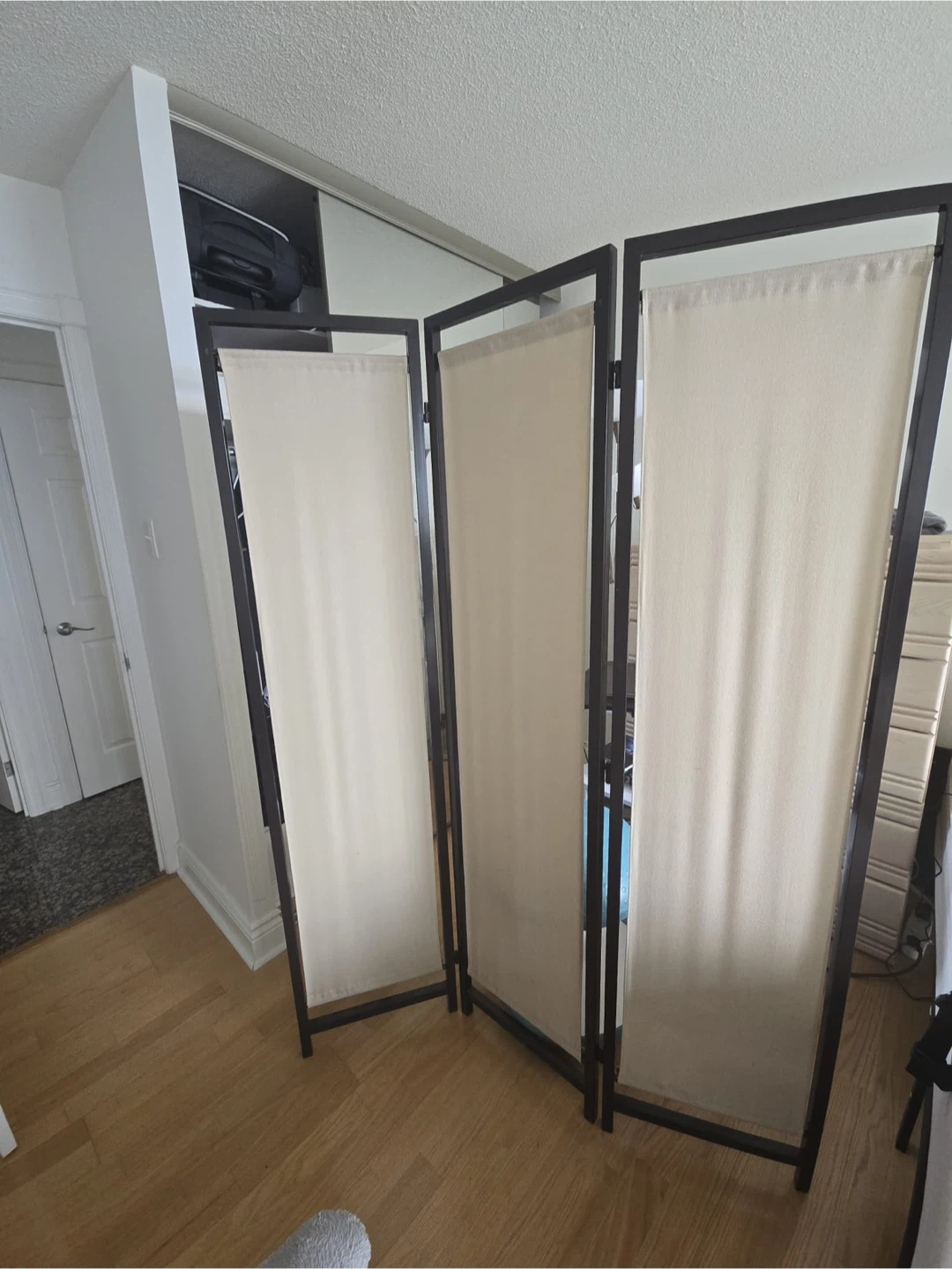 3-Panel Room Divider
