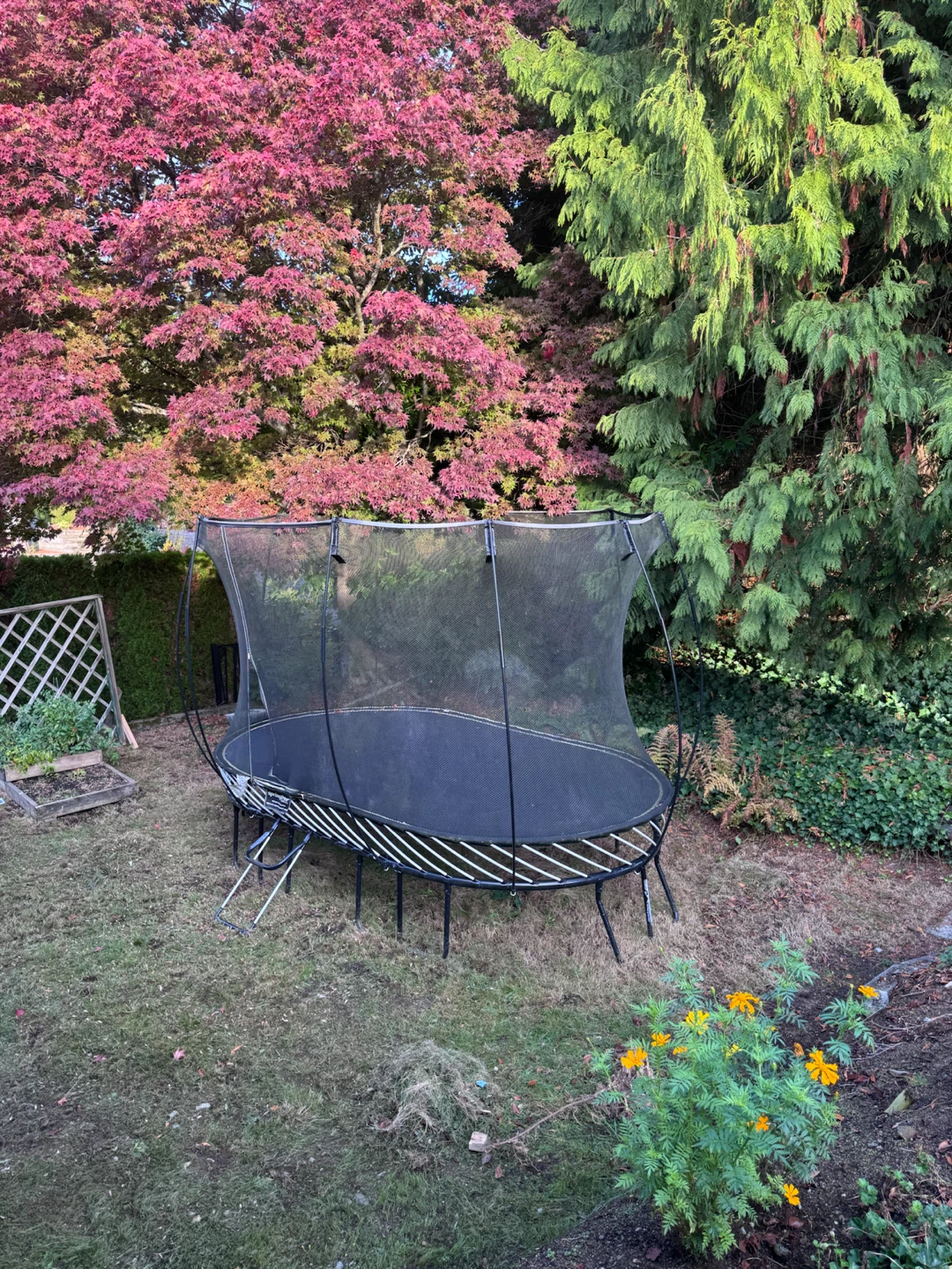 Springfree Oval Trampoline - photo 2