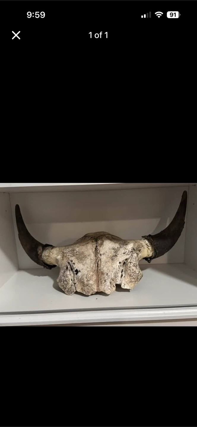 Bull horns