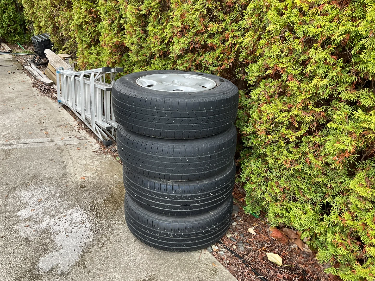 Michelin Tires - photo 3