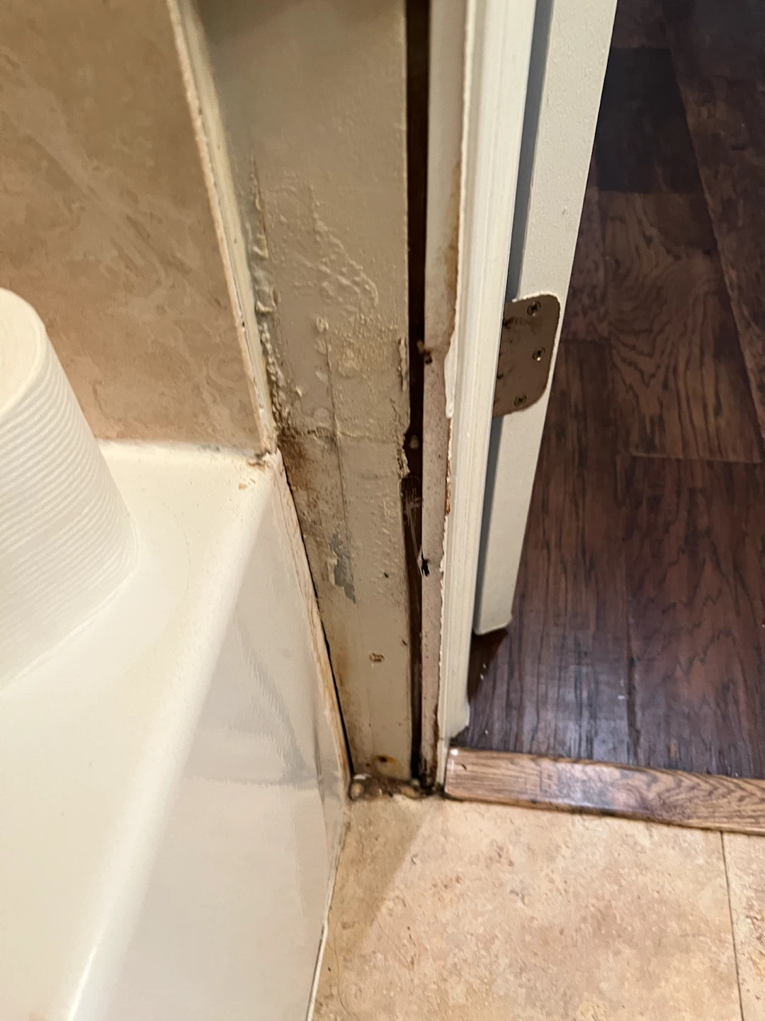 Bathroom mold ?! Dm me