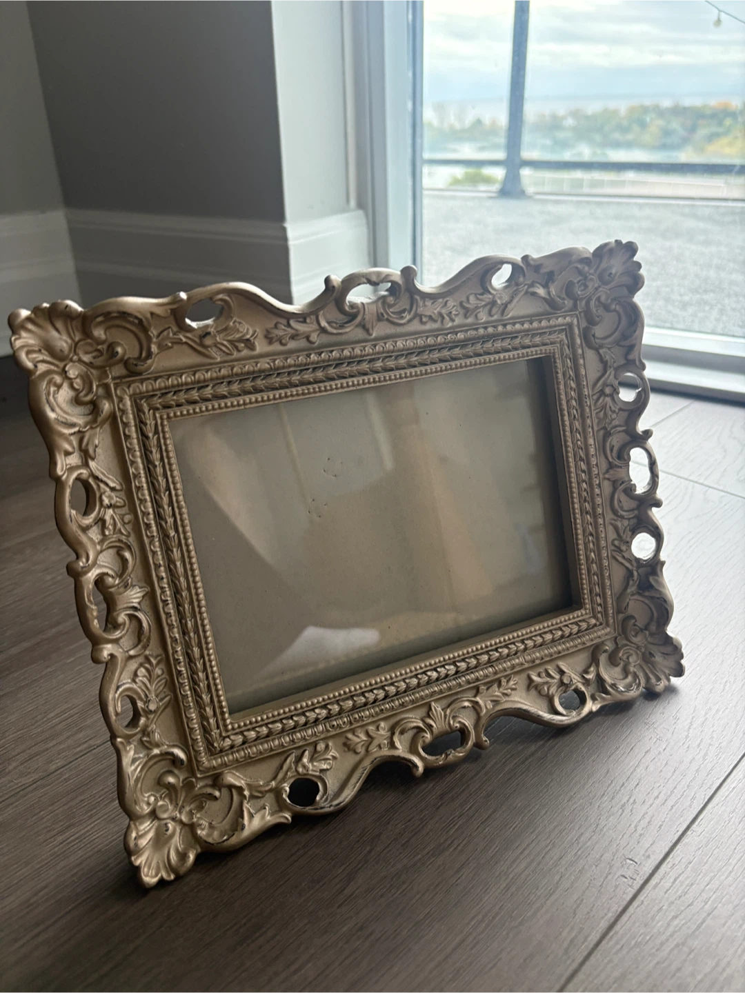 Heavy Ornate champagne/Gold Picture Frame