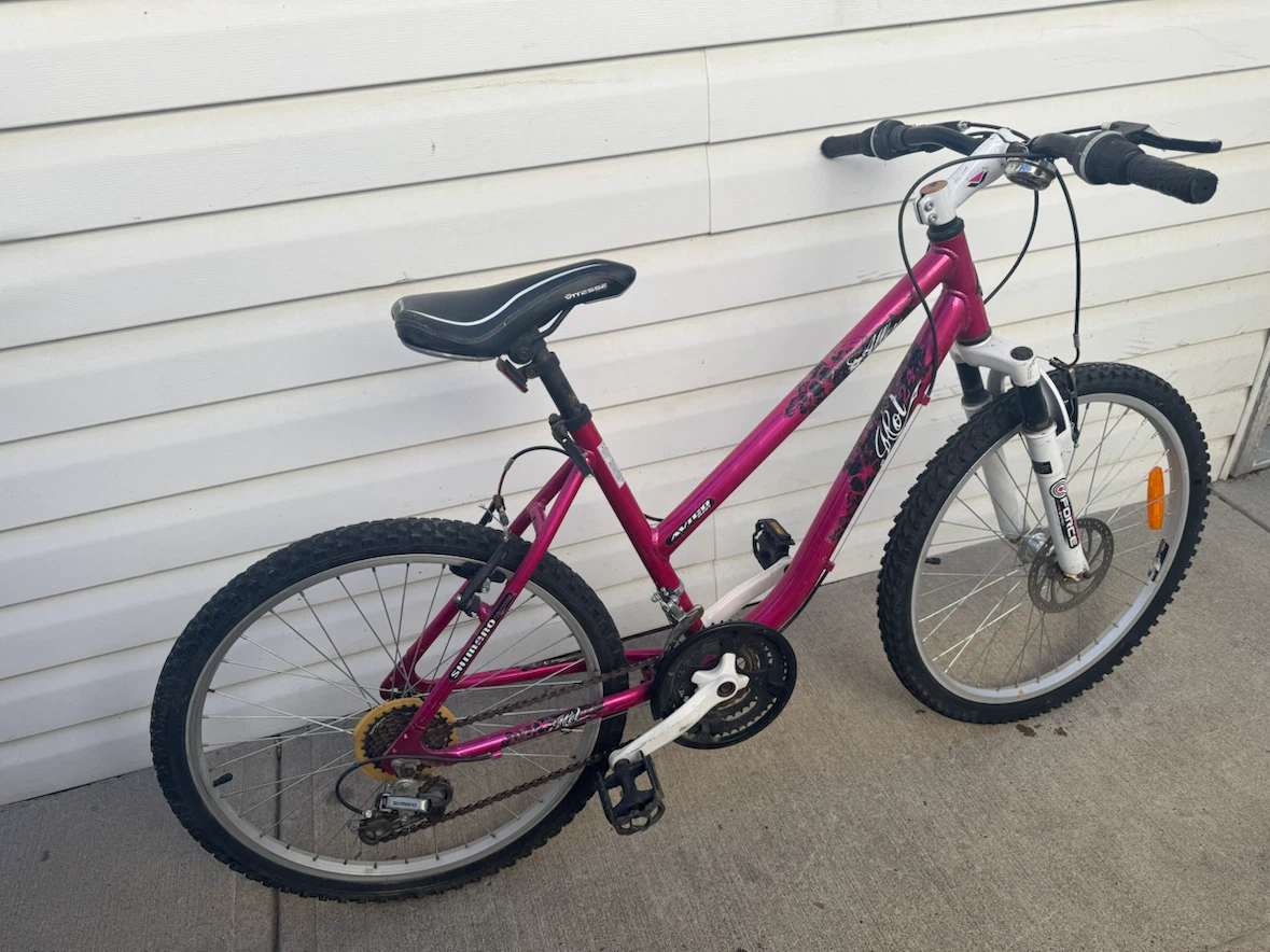 Girls / Ladies Avico Aluminum Mountain Bike - photo 3
