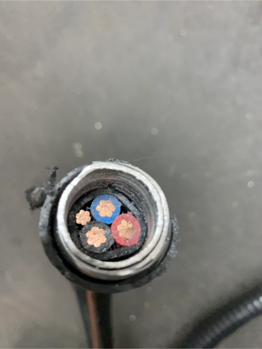 6/3 AWG copper wiring cable. - photo 5
