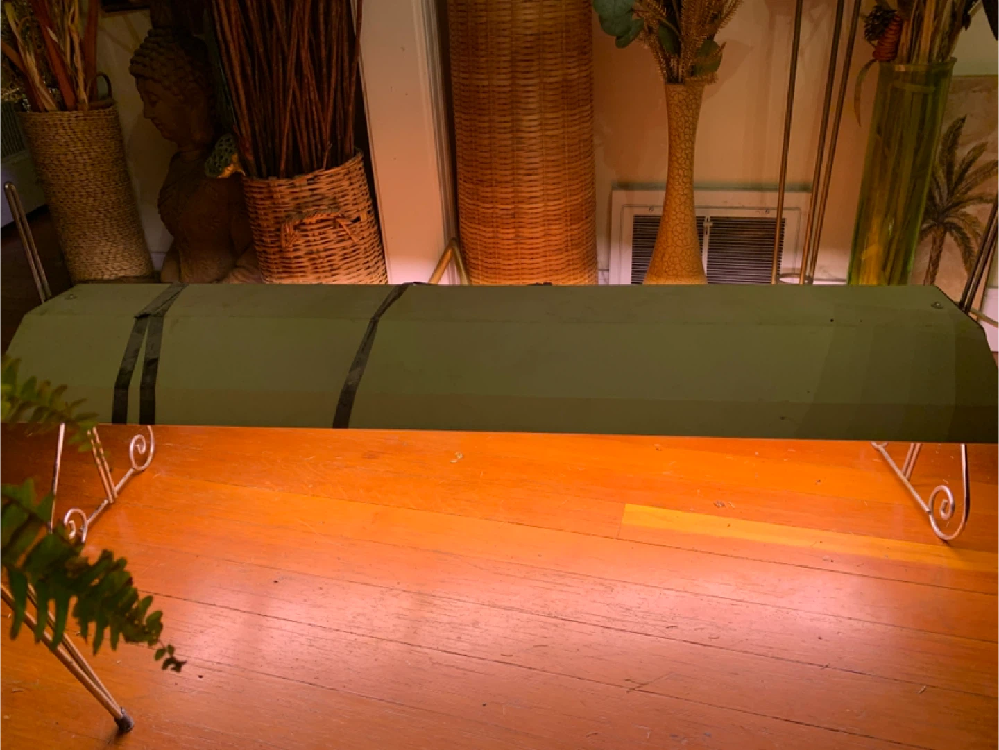 Vintage 48-Inch Fluorescent Grow Light with extra bulbs.