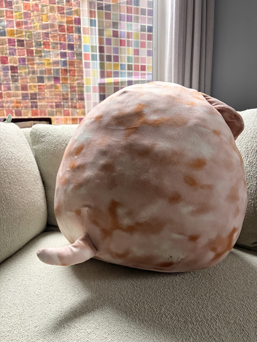 Squishmallows Bulldog Plush - photo 3