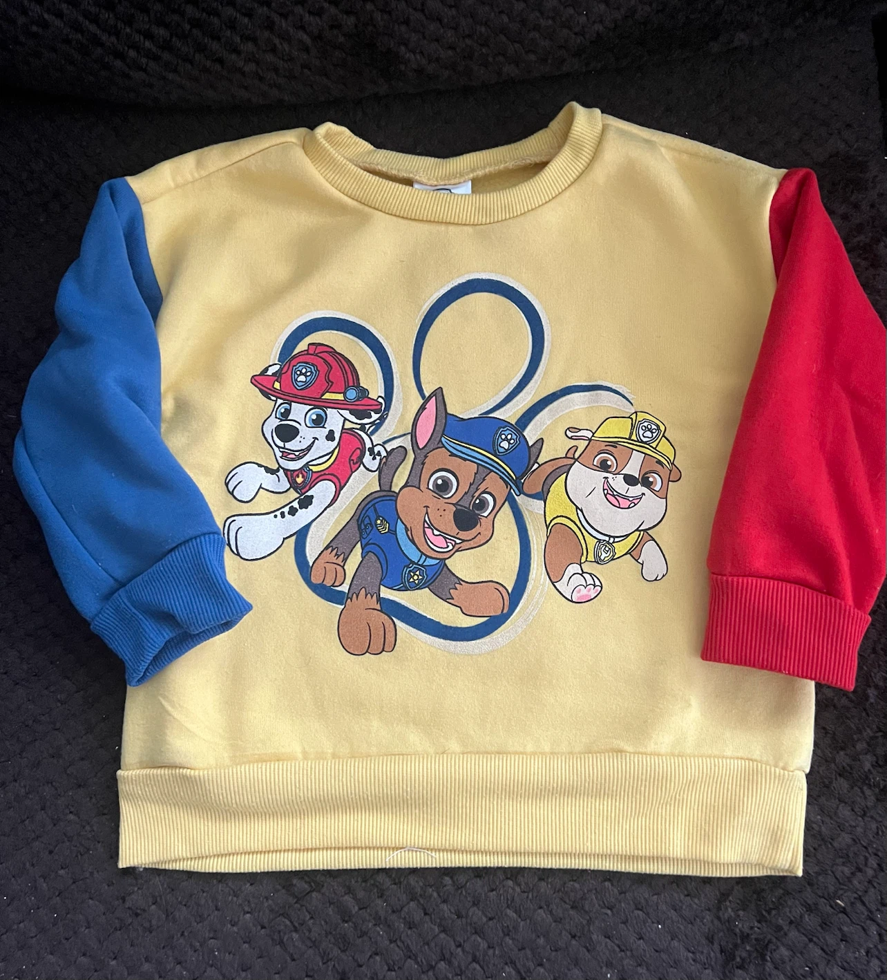 Paw Patrol Sweatshirt and Pants Set 3T - photo 2
