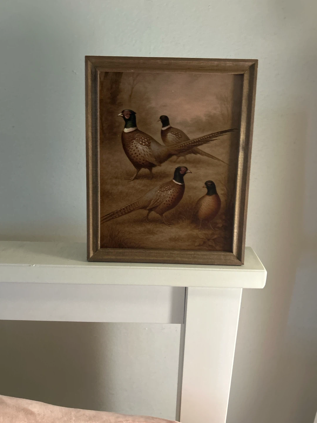 Vintage Pheasant Art Print with Wood Frame
