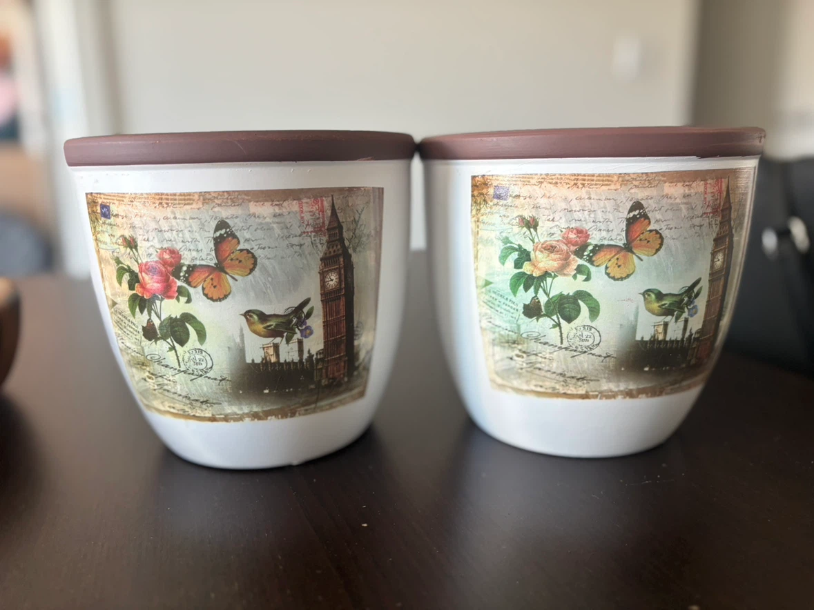 Two decorative flower pots