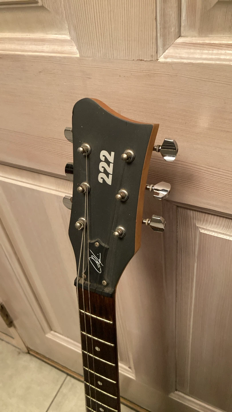 Adam Levine 222 Electric Guitar - photo 2