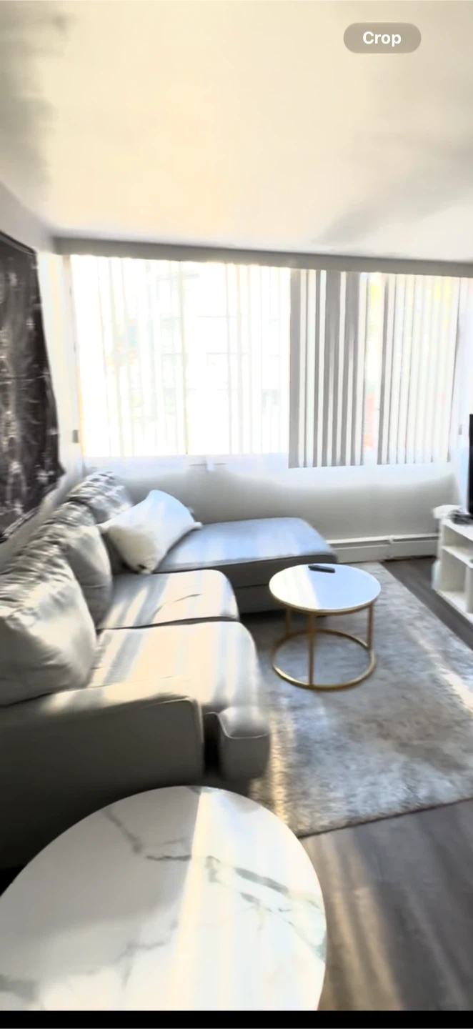 Modern Grey Sectional Sofa