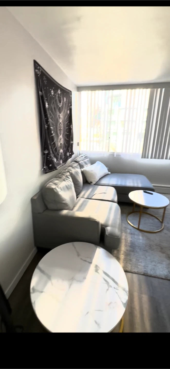 Modern Grey Sectional Sofa - photo 2
